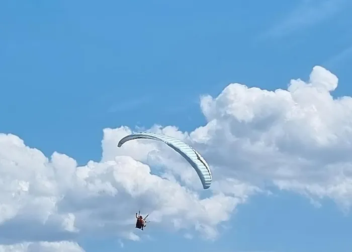 Burgblick Apartment *