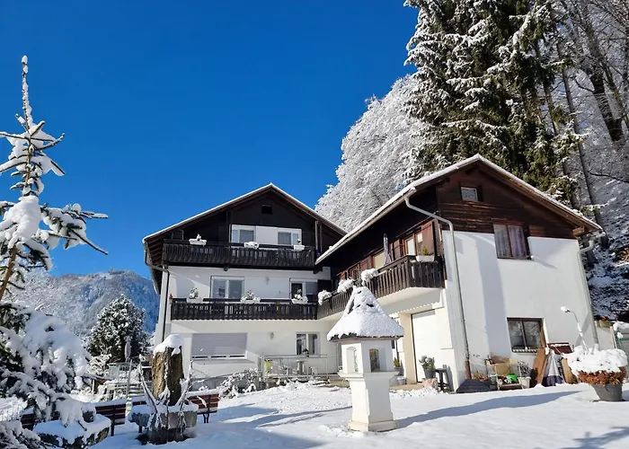 Burgblick Apartment Treffen